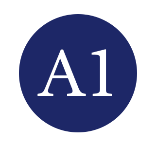 A1