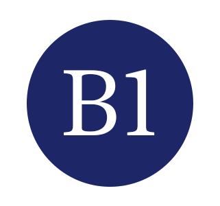 B1